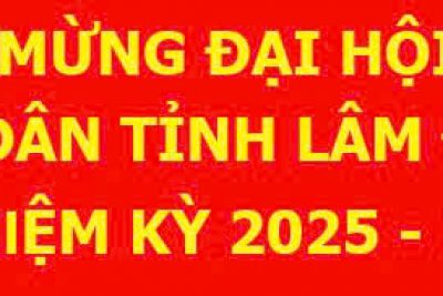CHÀO MỪNG ĐẠI HỘI ĐẠI BIỂU ĐẢNG BỘ UBND TỈNH LÂM ĐỒNG LẦN THỨ I, NHIỆM KÝ 2025-2030